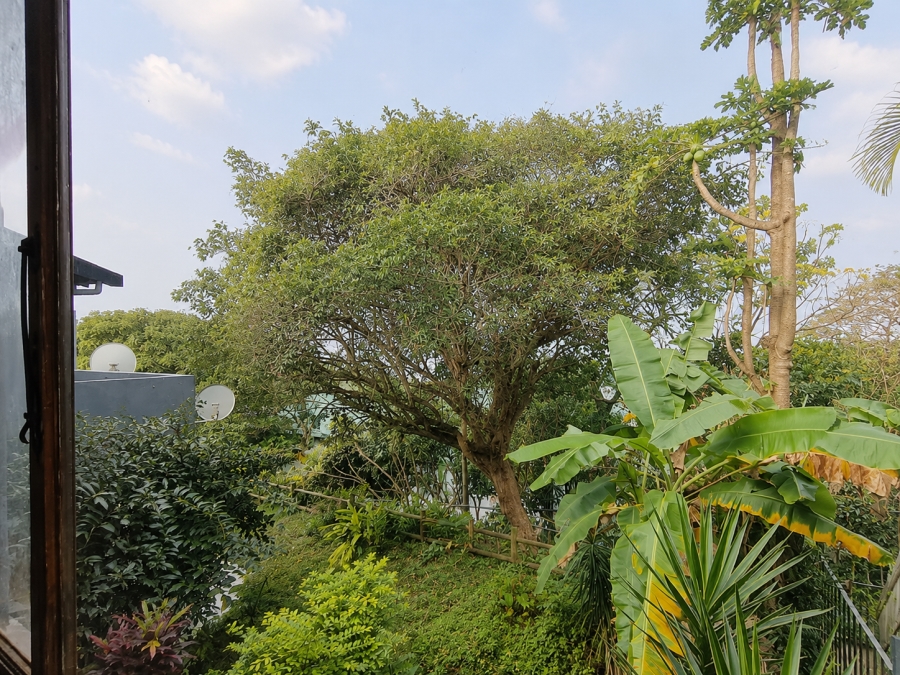 3 Bedroom Property for Sale in Westbrook KwaZulu-Natal