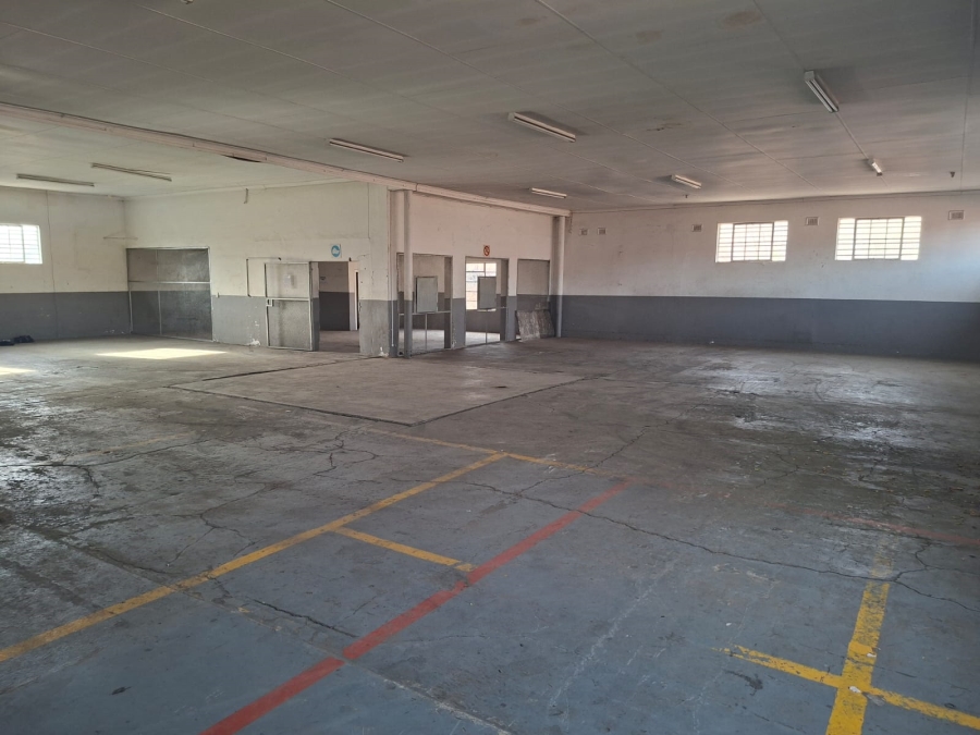 To Let Commercial Property for Rent in Airport Industrial KwaZulu-Natal