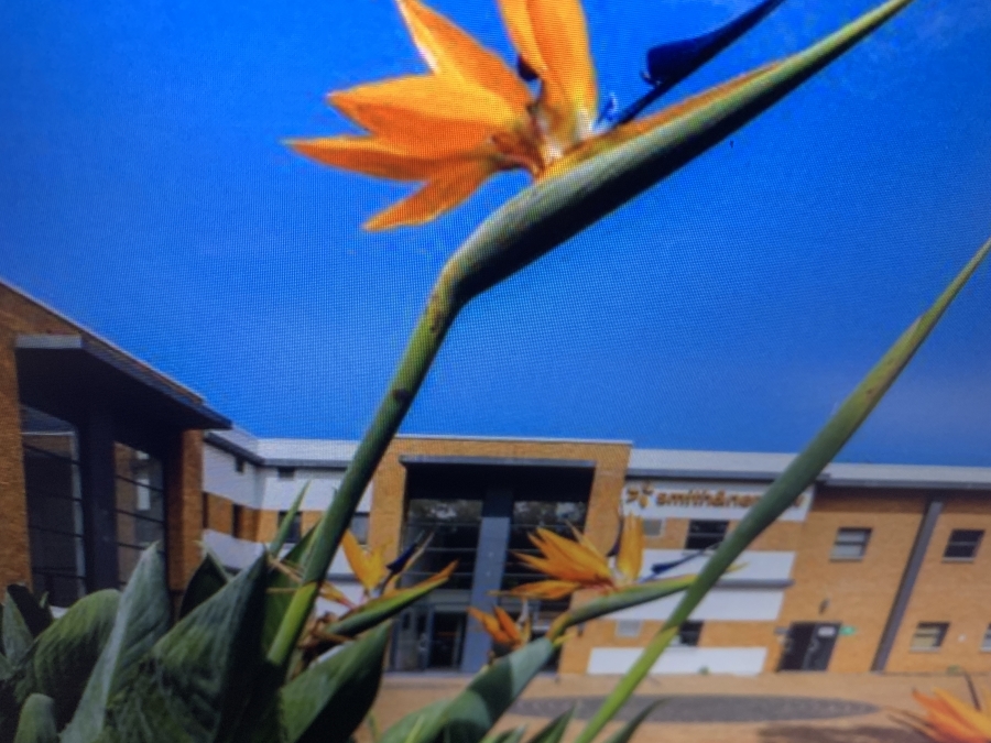 To Let Commercial Property for Rent in Westville Central KwaZulu-Natal