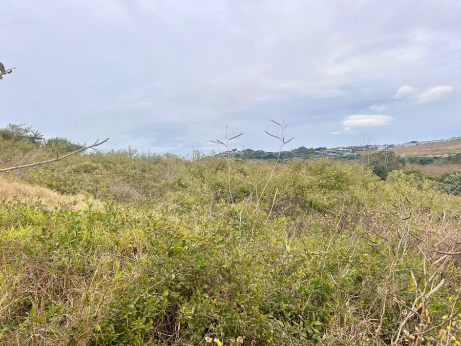 0 Bedroom Property for Sale in Zululami Coastal Estate KwaZulu-Natal