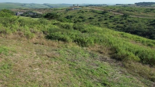 0 Bedroom Property for Sale in Zimbali Lakes Resort KwaZulu-Natal