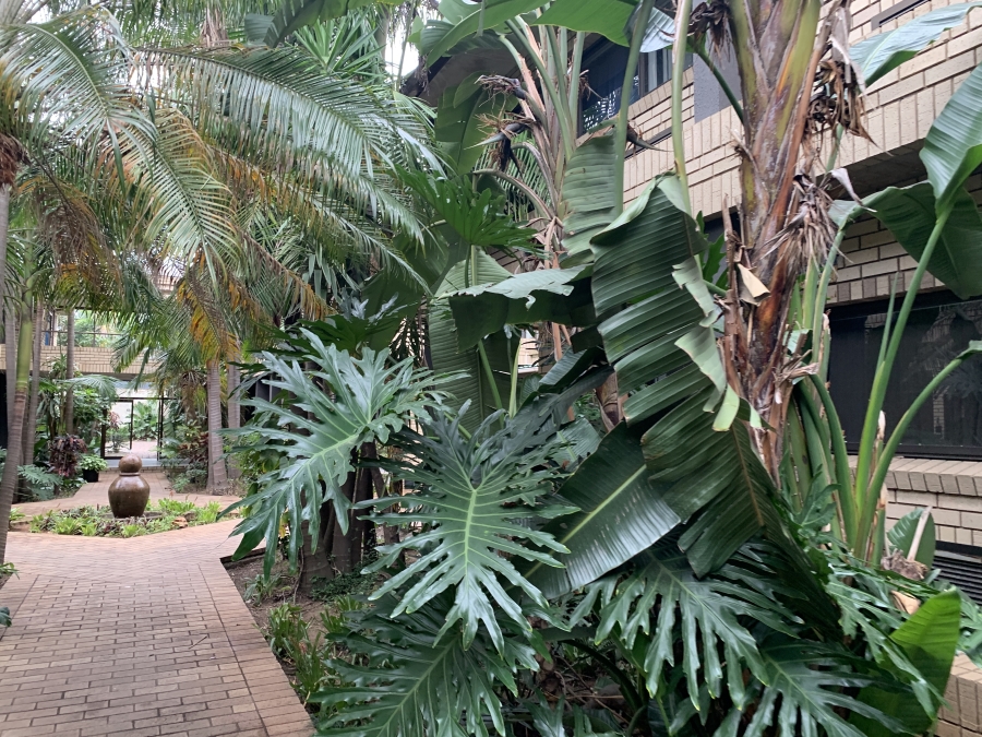 To Let Commercial Property for Rent in Morningside KwaZulu-Natal