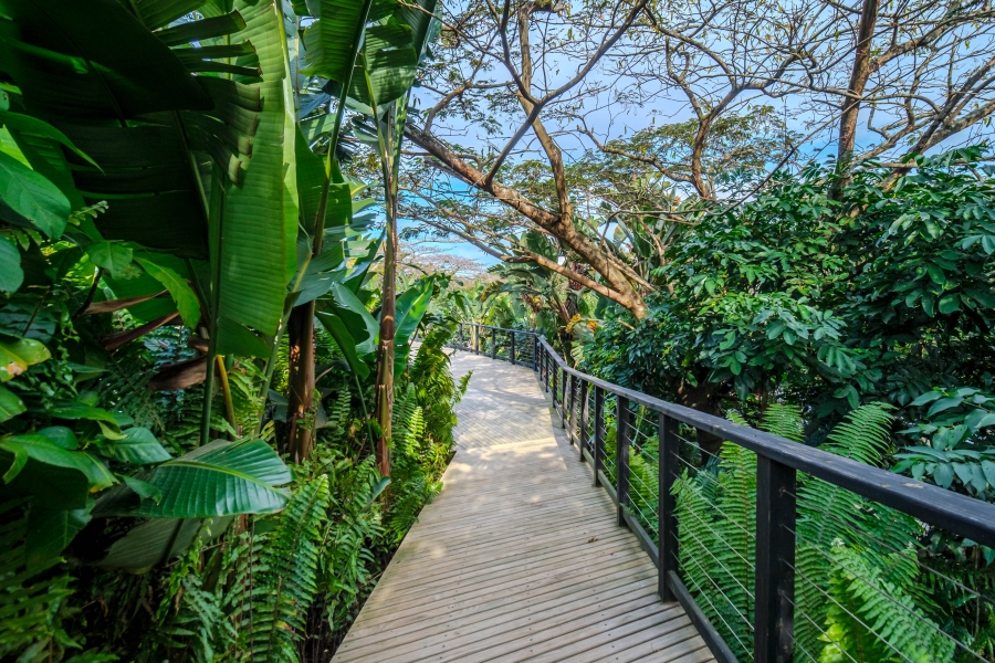 4 Bedroom Property for Sale in Elaleni Coastal Forest Estate KwaZulu-Natal