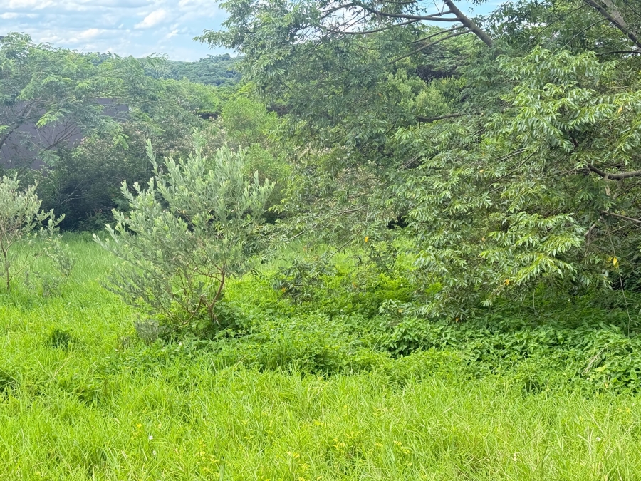 0 Bedroom Property for Sale in Zini River Estate KwaZulu-Natal