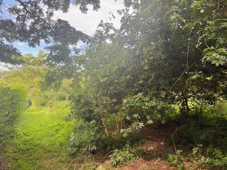 0 Bedroom Property for Sale in Zini River Estate KwaZulu-Natal