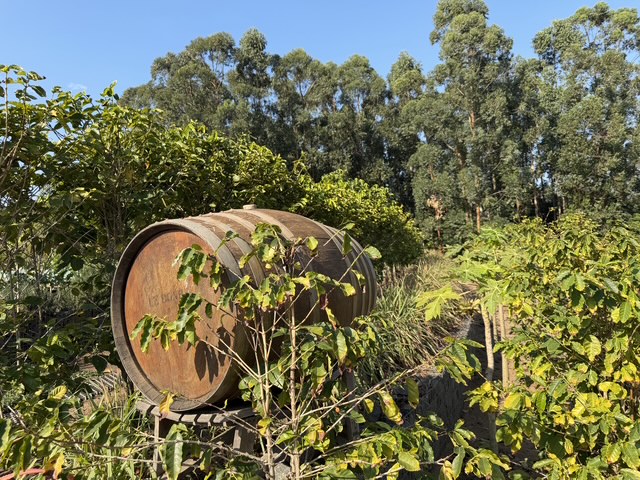 3 Bedroom Property for Sale in Elaleni Coastal Forest Estate KwaZulu-Natal