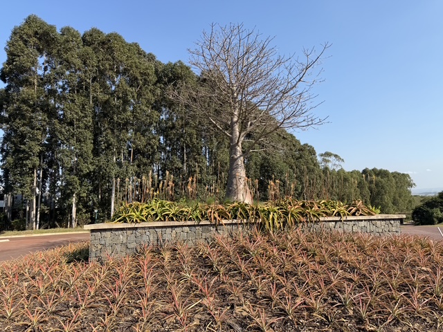 3 Bedroom Property for Sale in Elaleni Coastal Forest Estate KwaZulu-Natal