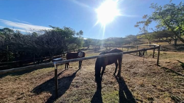 2 Bedroom Property for Sale in Peacevale KwaZulu-Natal