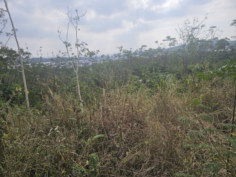 0 Bedroom Property for Sale in Avoca KwaZulu-Natal