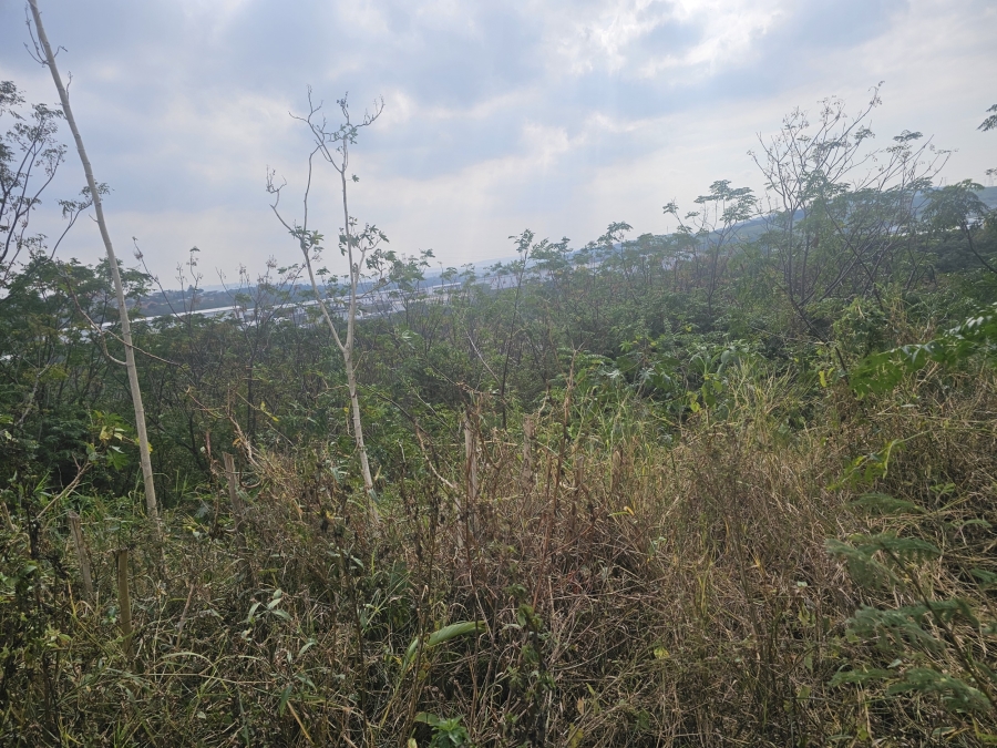 0 Bedroom Property for Sale in Avoca KwaZulu-Natal