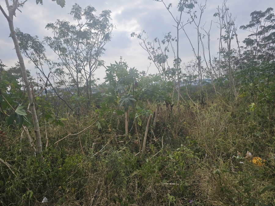 0 Bedroom Property for Sale in Avoca KwaZulu-Natal
