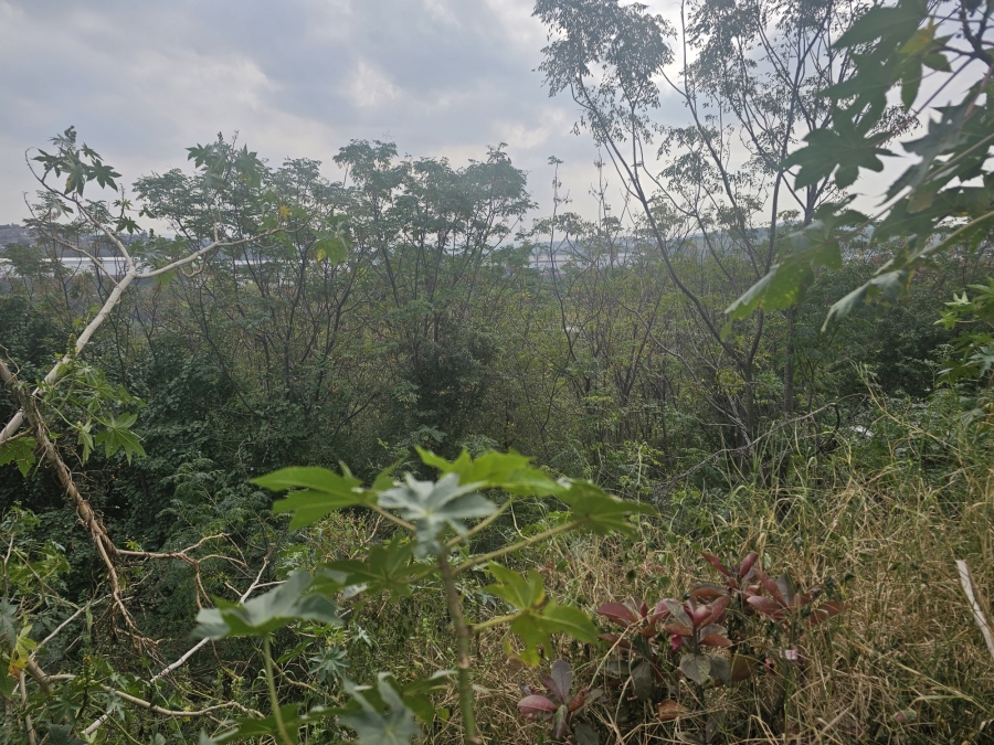 0 Bedroom Property for Sale in Avoca KwaZulu-Natal