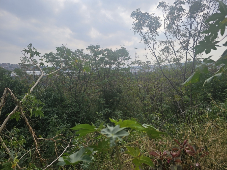 0 Bedroom Property for Sale in Avoca KwaZulu-Natal