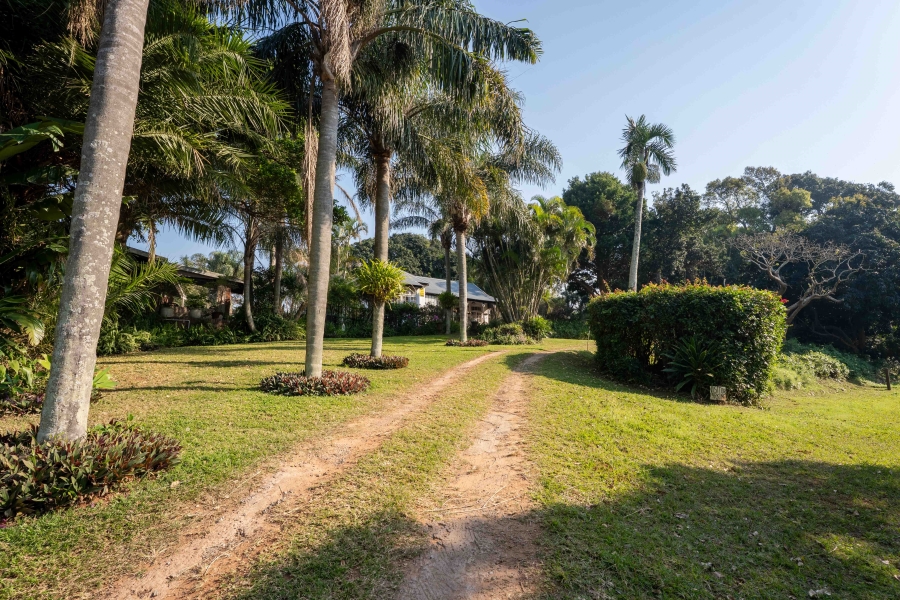 19 Bedroom Property for Sale in Amanzimtoti KwaZulu-Natal