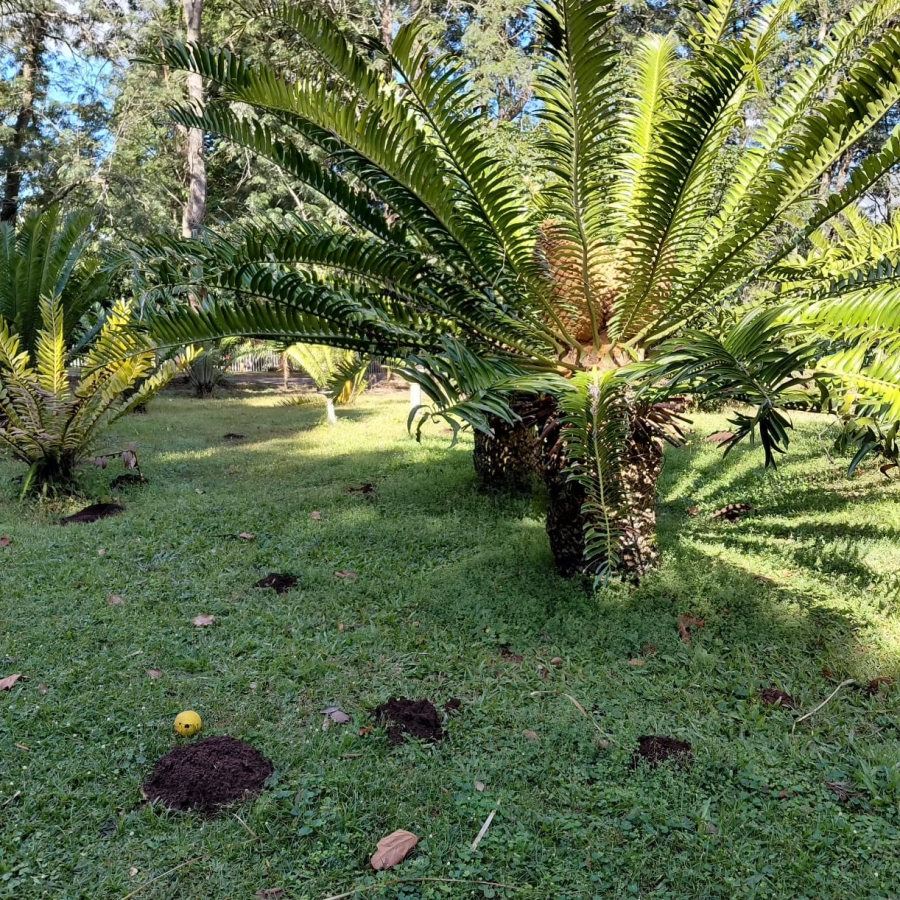 3 Bedroom Property for Sale in Waterfall KwaZulu-Natal