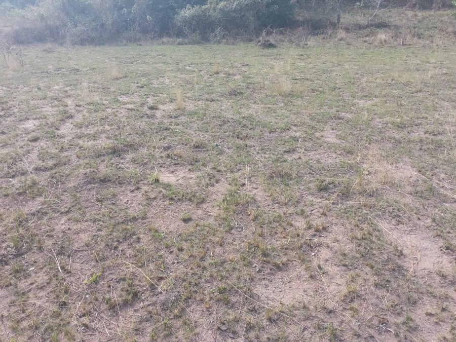 0 Bedroom Property for Sale in Adams Mission KwaZulu-Natal