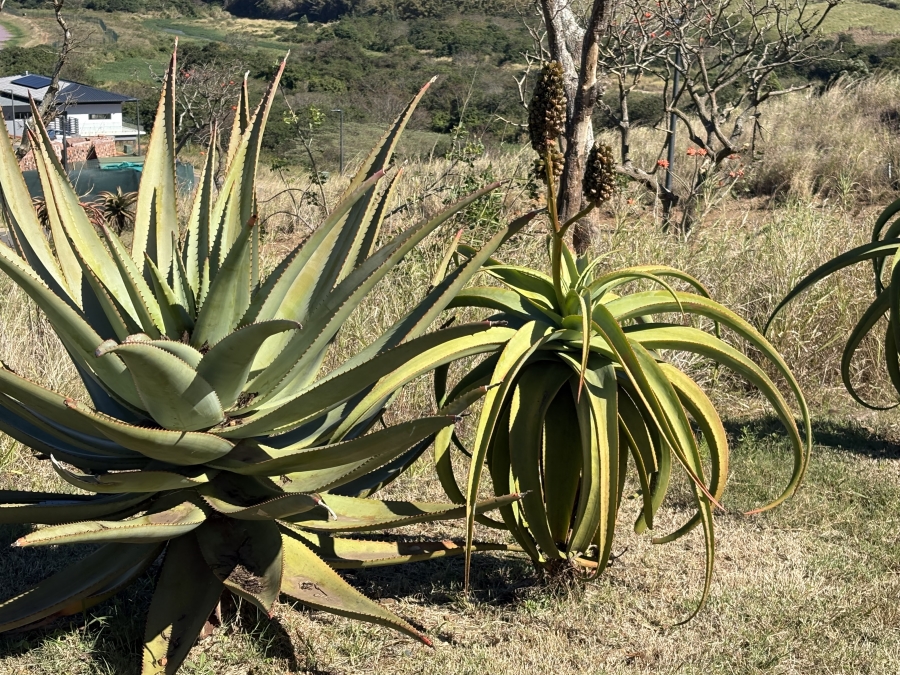 0 Bedroom Property for Sale in Zimbali Lakes Resort KwaZulu-Natal