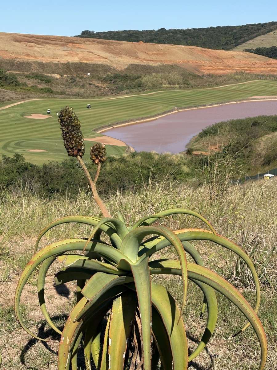 0 Bedroom Property for Sale in Zimbali Lakes Resort KwaZulu-Natal