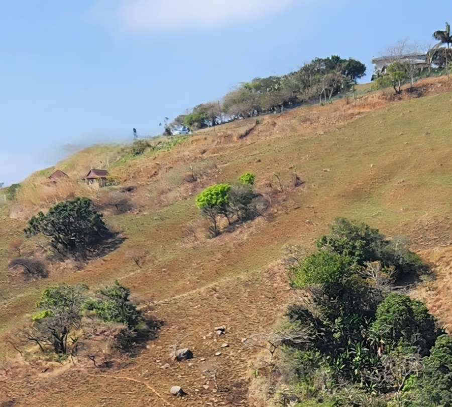 0 Bedroom Property for Sale in Wyebank KwaZulu-Natal