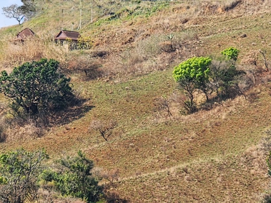 0 Bedroom Property for Sale in Wyebank KwaZulu-Natal