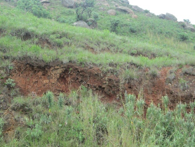 Commercial Property for Sale in Newcastle Rural KwaZulu-Natal