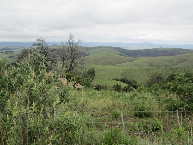 Commercial Property for Sale in Newcastle Rural KwaZulu-Natal