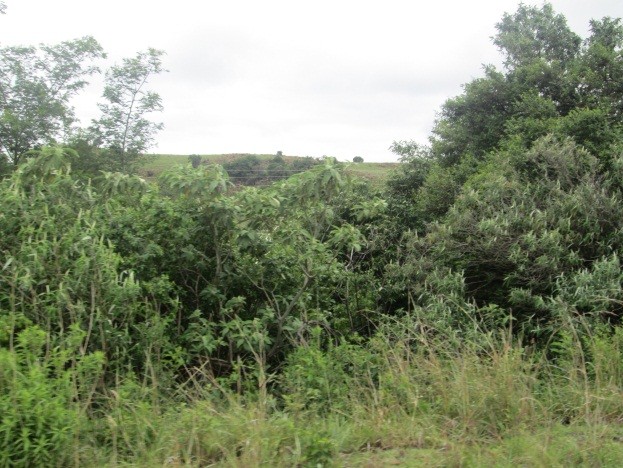 Commercial Property for Sale in Newcastle Rural KwaZulu-Natal