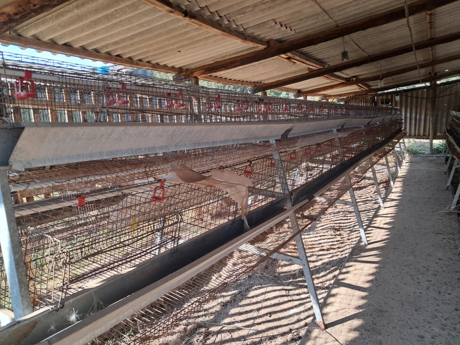Commercial Property for Sale in Camperdown KwaZulu-Natal
