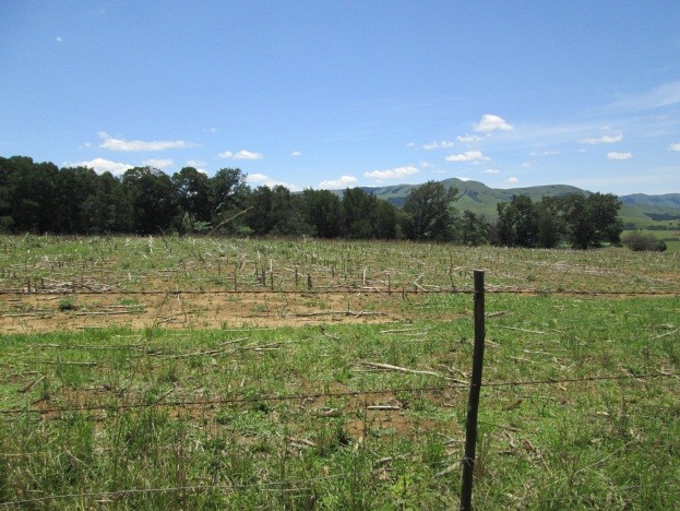 Commercial Property for Sale in Newcastle Rural KwaZulu-Natal