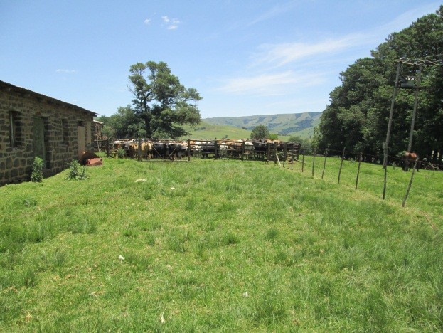 Commercial Property for Sale in Newcastle Rural KwaZulu-Natal