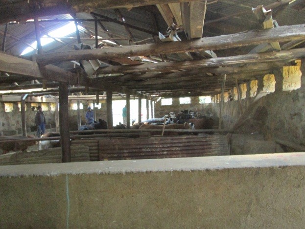 Commercial Property for Sale in Newcastle Rural KwaZulu-Natal