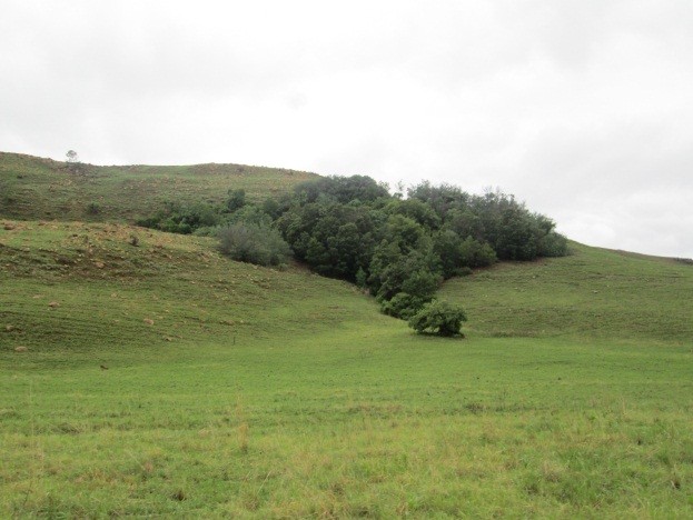 Commercial Property for Sale in Newcastle Rural KwaZulu-Natal