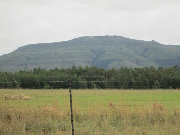 Commercial Property for Sale in Newcastle Rural KwaZulu-Natal