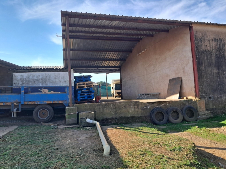 9 Bedroom Property for Sale in Camperdown KwaZulu-Natal