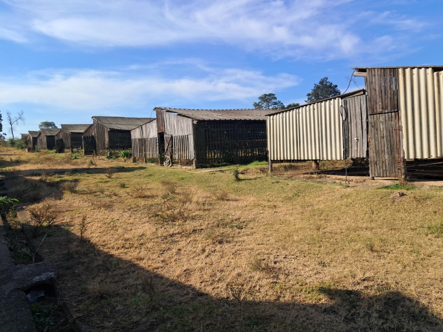 9 Bedroom Property for Sale in Camperdown KwaZulu-Natal