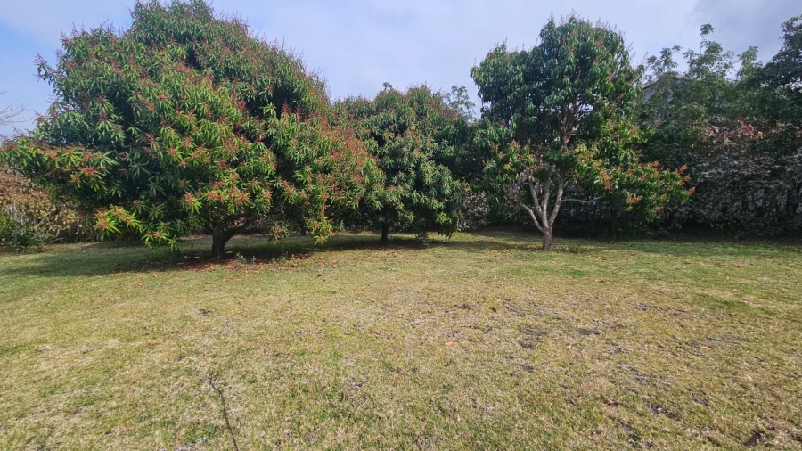 10 Bedroom Property for Sale in Sandfield KwaZulu-Natal