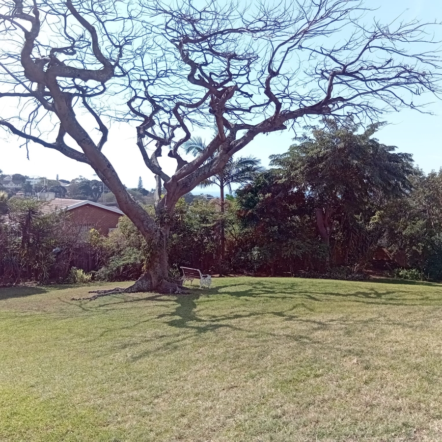 3 Bedroom Property for Sale in Musgrave KwaZulu-Natal