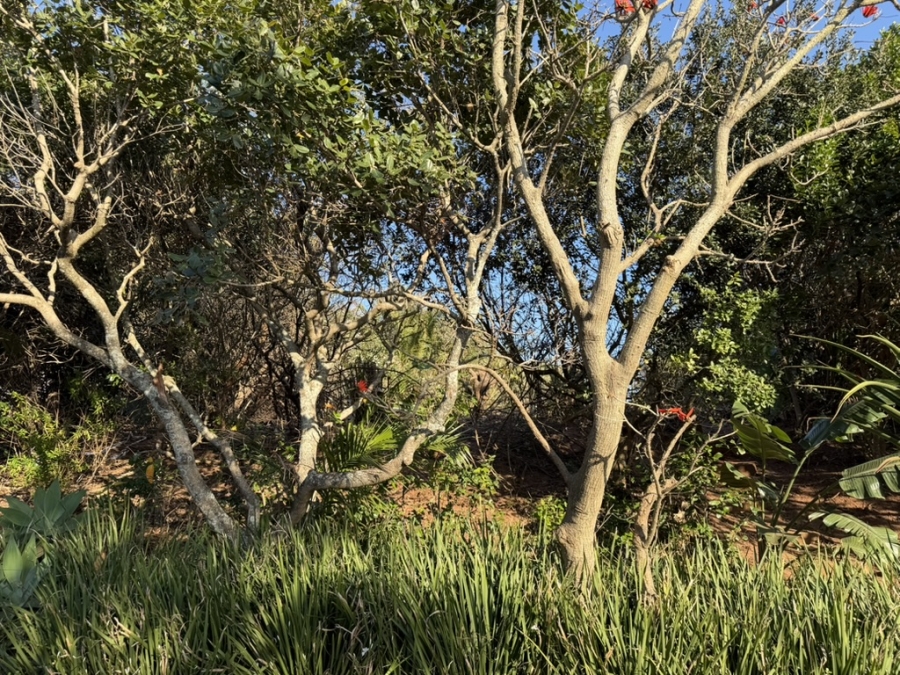 0 Bedroom Property for Sale in Sheffield Beach KwaZulu-Natal