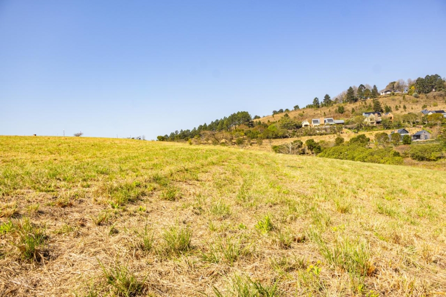 0 Bedroom Property for Sale in Bothas Hill KwaZulu-Natal
