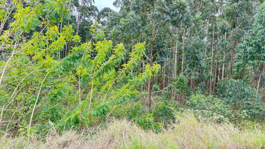 0 Bedroom Property for Sale in Elaleni Coastal Forest Estate KwaZulu-Natal