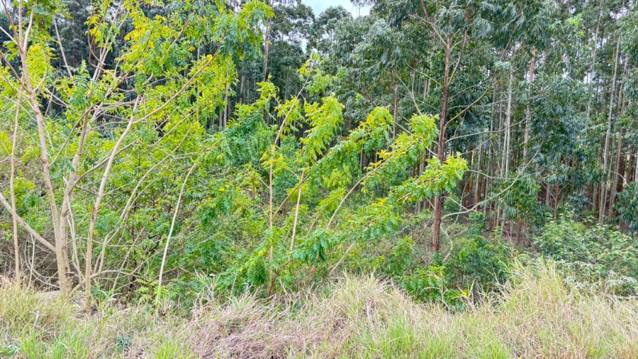 0 Bedroom Property for Sale in Elaleni Coastal Forest Estate KwaZulu-Natal