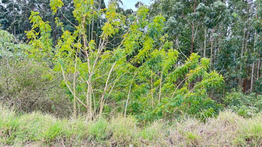 0 Bedroom Property for Sale in Elaleni Coastal Forest Estate KwaZulu-Natal