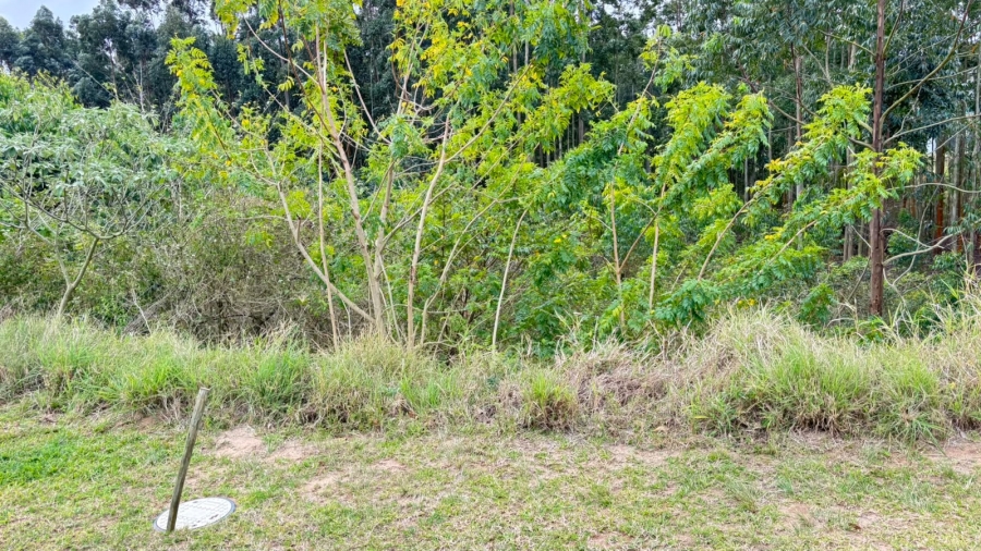 0 Bedroom Property for Sale in Elaleni Coastal Forest Estate KwaZulu-Natal