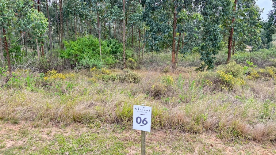 0 Bedroom Property for Sale in Elaleni Coastal Forest Estate KwaZulu-Natal