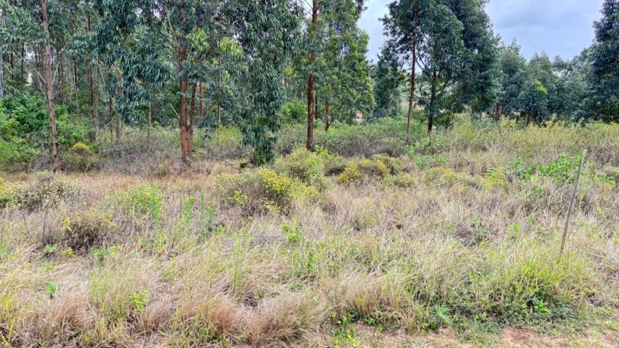 0 Bedroom Property for Sale in Elaleni Coastal Forest Estate KwaZulu-Natal