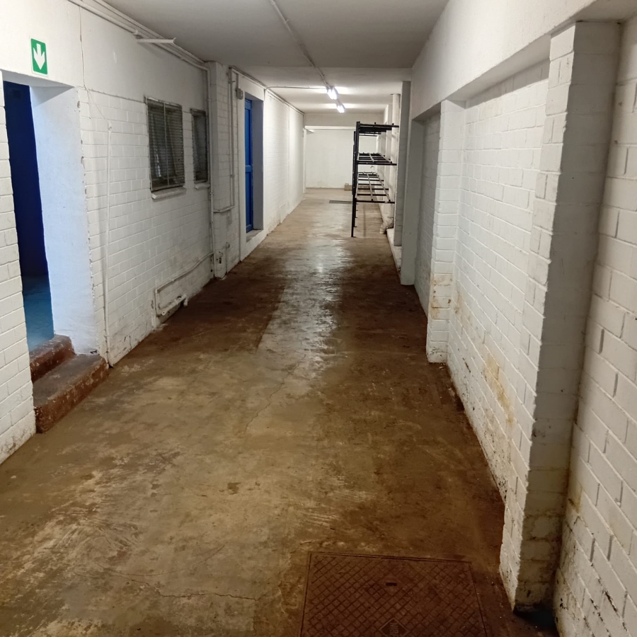 To Let Commercial Property for Rent in Windermere KwaZulu-Natal