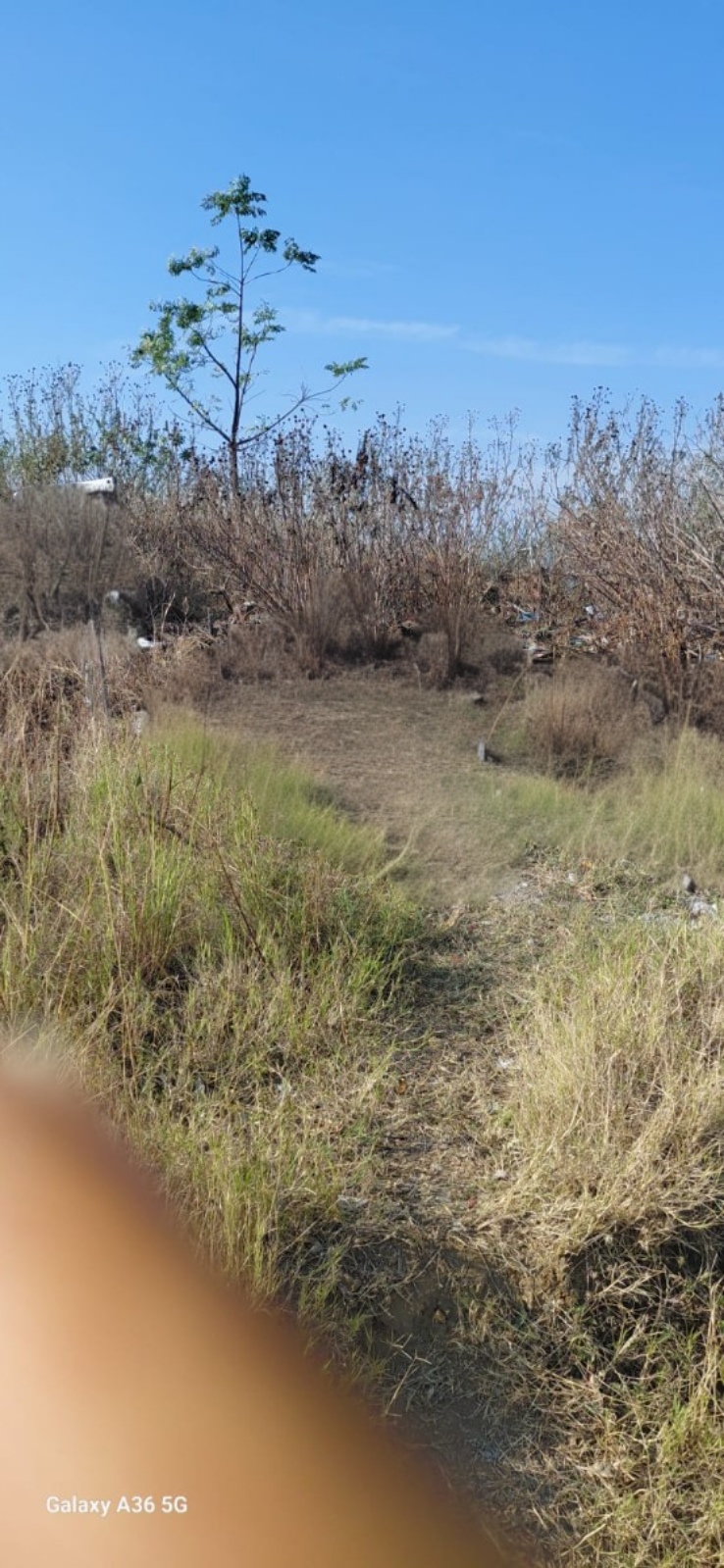 0 Bedroom Property for Sale in Duffs Road KwaZulu-Natal