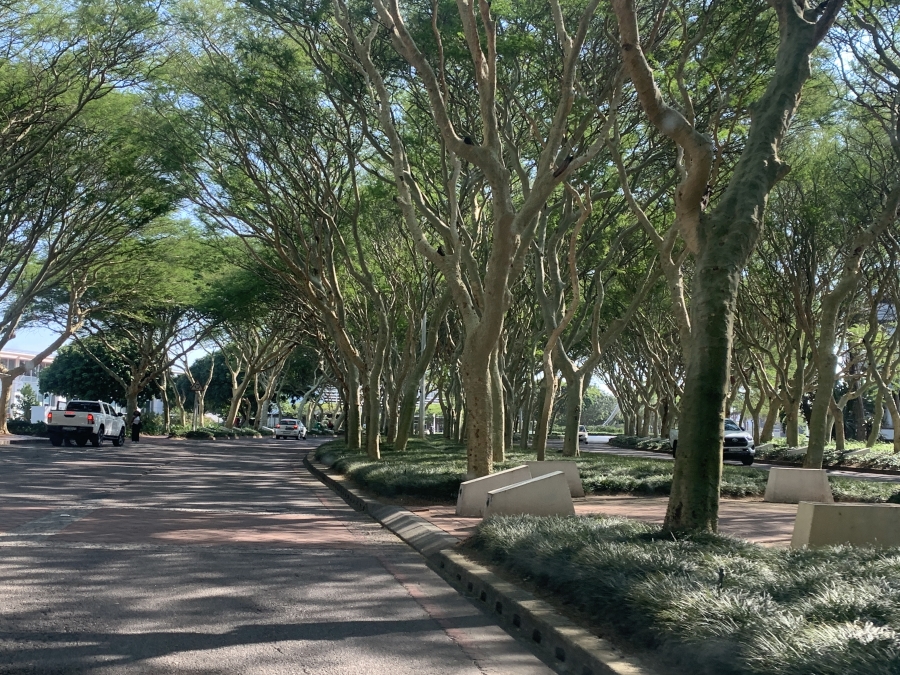 Commercial Property for Sale in La Lucia Ridge KwaZulu-Natal