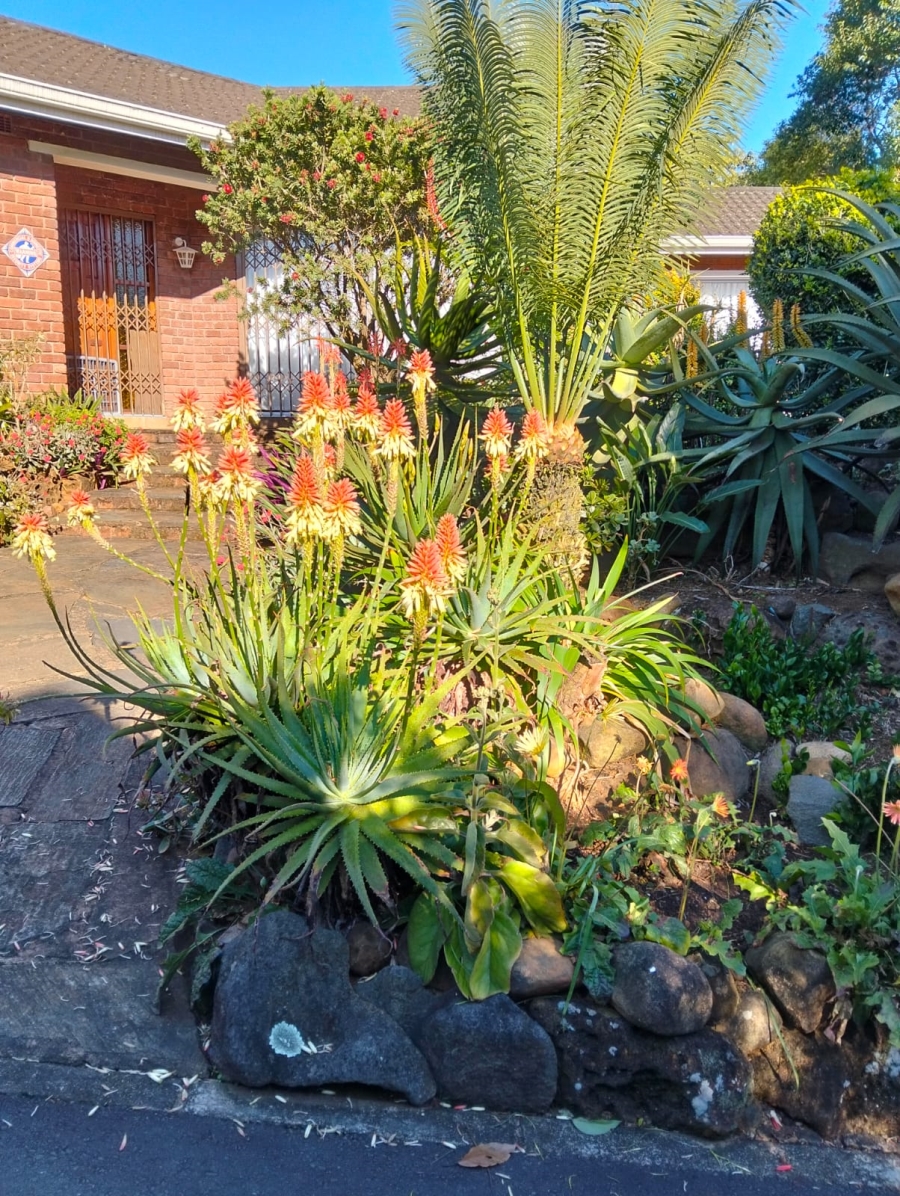 3 Bedroom Property for Sale in Prestbury KwaZulu-Natal