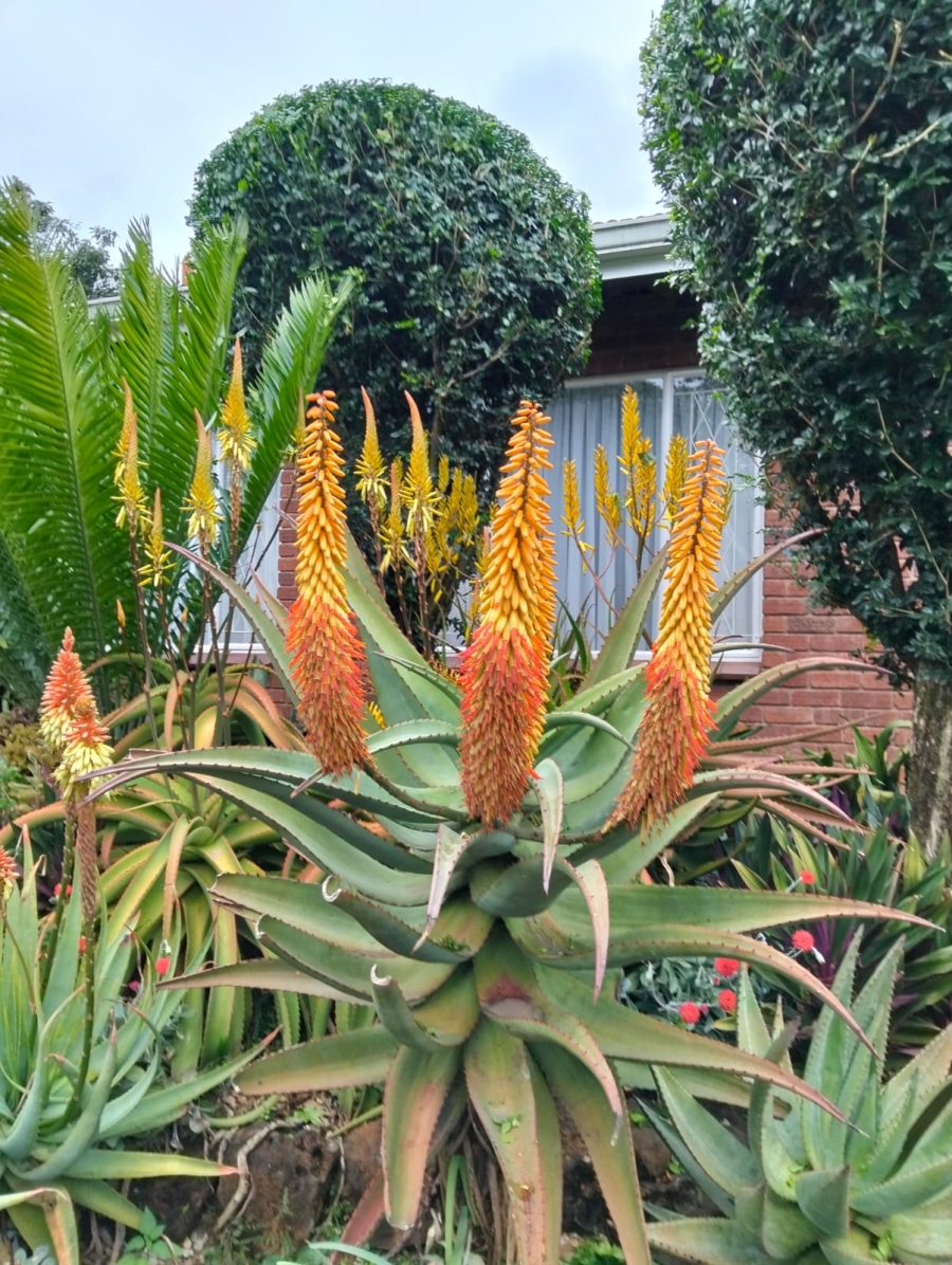 3 Bedroom Property for Sale in Prestbury KwaZulu-Natal